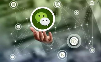 六月八大網絡謠言揭秘 這些騙局你上當了嗎？