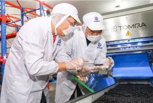 陶朗集团 TOMRA 助力中国食品安全事业健康发展